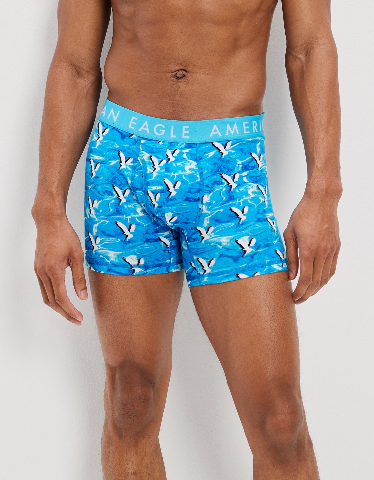 Buy American Eagle Men Blue Shadow Eagle 6 Inches Flex Boxer Briefs online