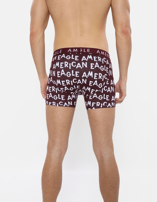 Buy AE Chalk 4.5 Classic Boxer Brief online